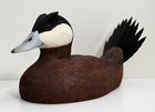Awesome JIM RUTLEDGE LIFE SIZE RUDDY DUCK DRAKE CARVING DECOY Wood sculpture — photo 2