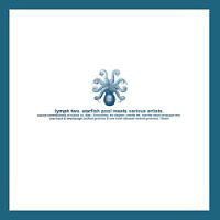 Starfish Pool - Lymph Two / VG+ / 12'''', Ltd