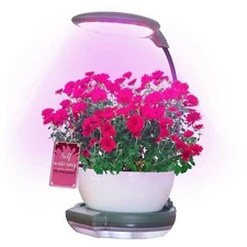 Indoor Garden Growing System, Self-Watering Plant Base, Smart Gardening System 