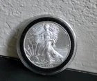 2009 American Silver Eagle 1 Troy Oz. .999 Fine One Dollar Coin