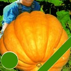 Bild 96 von 153
