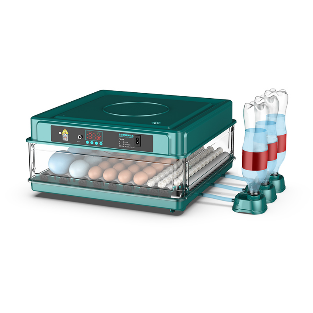 Temperature Control 12V 64 chicken egg Incubators Auto Chicken Incubator