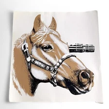 Vintage Horse Equestrian Western Camp Team Group Iron On Transfer Lot Of 25