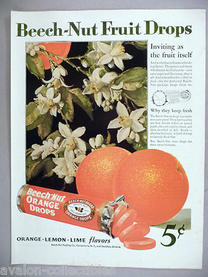 Beech-Nut Orange Fruit Drop PRINT AD - 1929 ~~ drops, candy