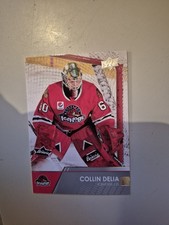2021-22 Upper Deck AHL Collin Delia #34 Chicago Blackhawks Rookie Rc
