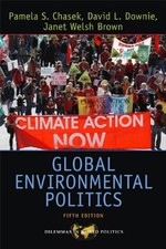 Global Environmental Politics Paperback