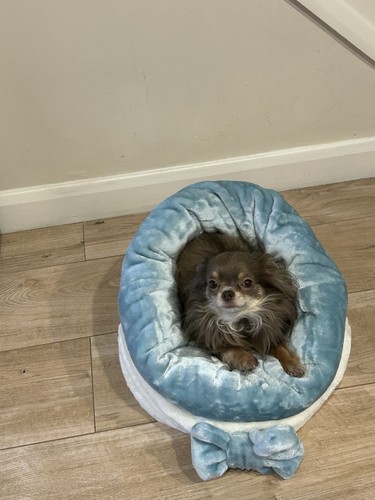 LUXURY FAUX FUR SNUGGLE SACK WITH BASE CUSHION PET PUPPY BED DESIGNERPETS - Picture 5 of 7