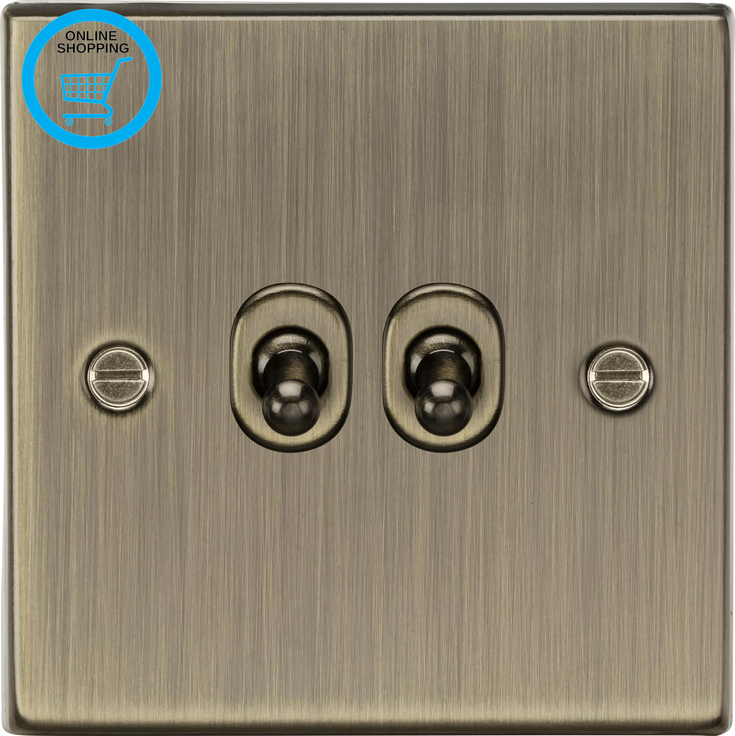 10AX 2G 2 Way Toggle Switch - Square Edge Antique Brass