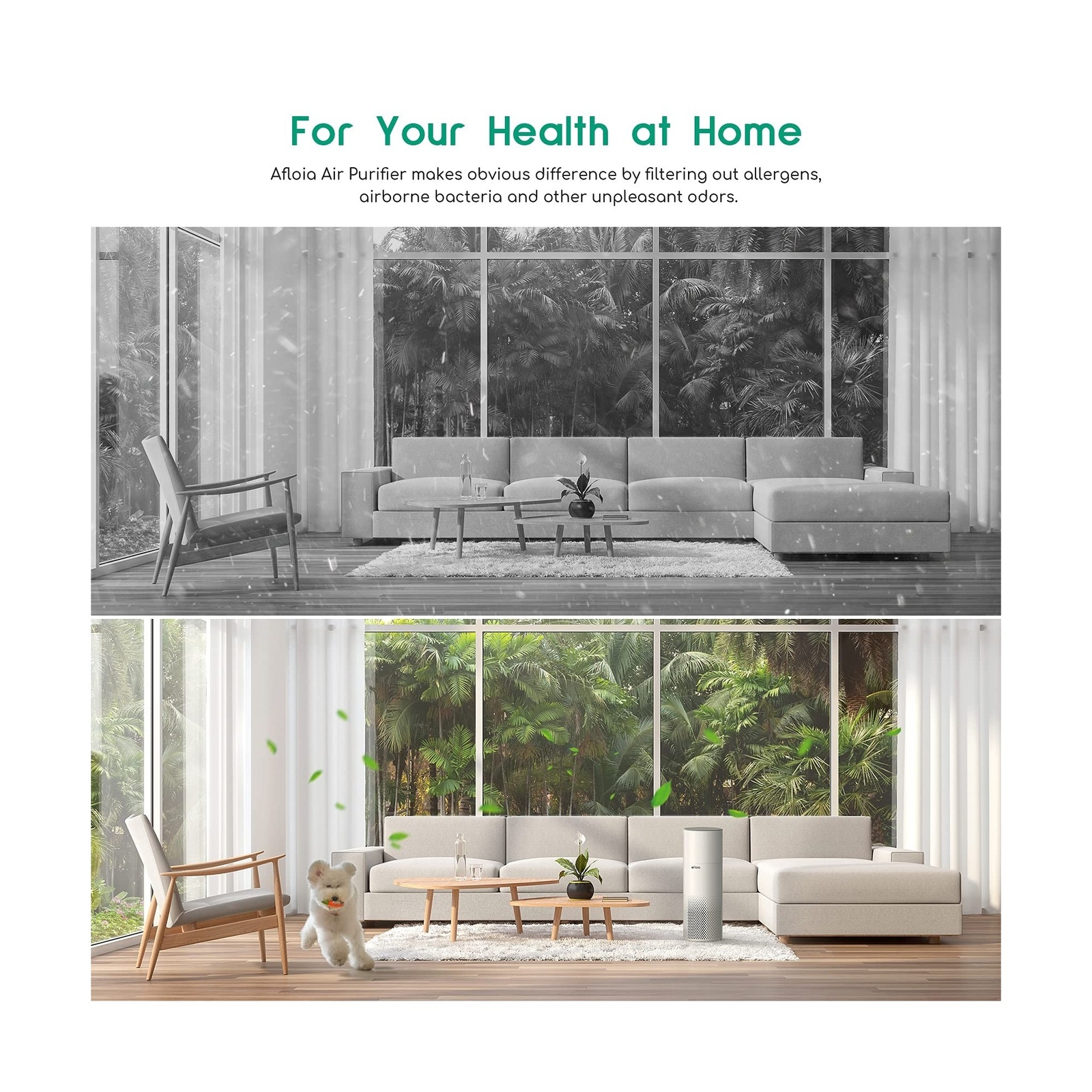 Afloia Air Purifier And Humidifier Combo For Home, 22Db| 7 Colors Night Air P...