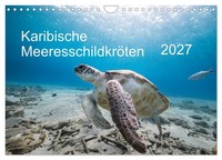 Karibische MeeresschildkröTen (Wandkalender 2027 Din A4 Quer), Calvendo Monatska