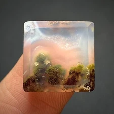 Tiny Scenic Moss Agate Cabochon 14x14x4mm High Quality 9.5 ct