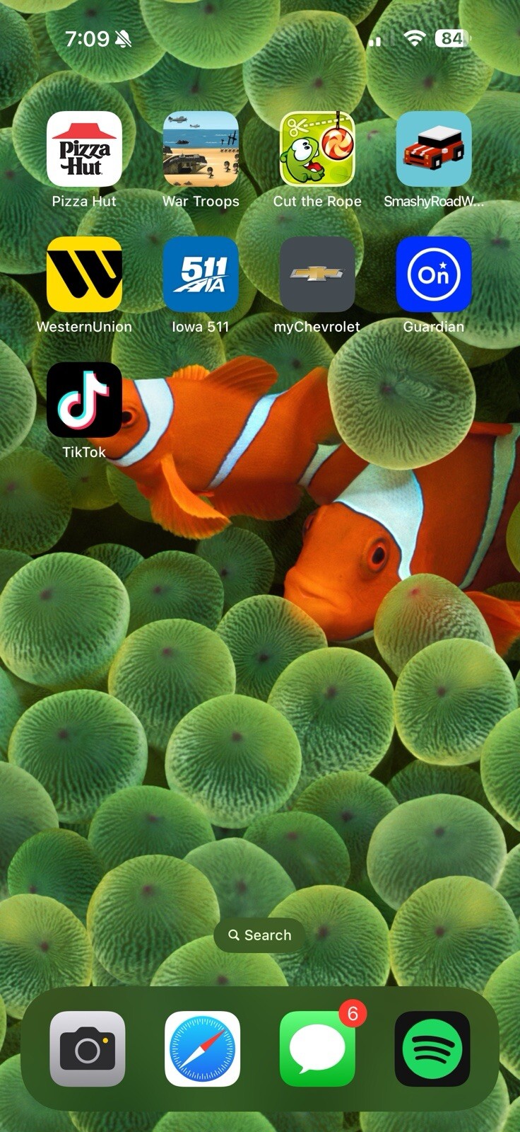 iPhone 16 Pro Max With TikTok-image