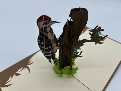 Woodpecker 3D Pop Up Card Bird Tree Nature Spring Woods Forest Glen Meadow Sun - Picture 3 of 4