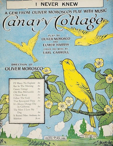 1916 I Never Knew Canary Cottage Musical Leo Feist Large Format Sheet Music