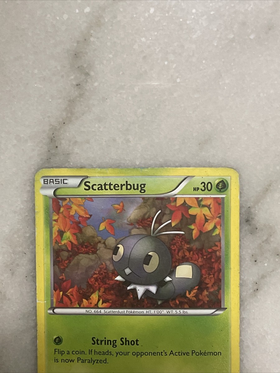 ポケモンスクランブル ポケモンカード ディグダ レベル6 HP30