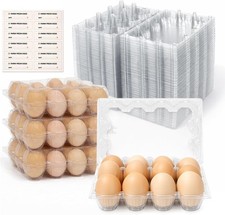 Egg Cartons Cheap Bulk 100 Pack 12 Count Plastic Clear Dozen Reusable Empty Egg