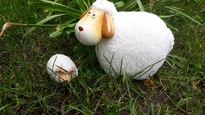 Hirte gesucht für Waltzing Matilda!!! / Mutter und Kind Schafe für Ostern etc.