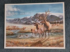 Open Edition Elk Print by Carolyn Mock 13x17
