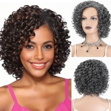 Short Curly Afro Wigs for Black Women Grey Kinky Curly Full Hair Wig Syntheti...