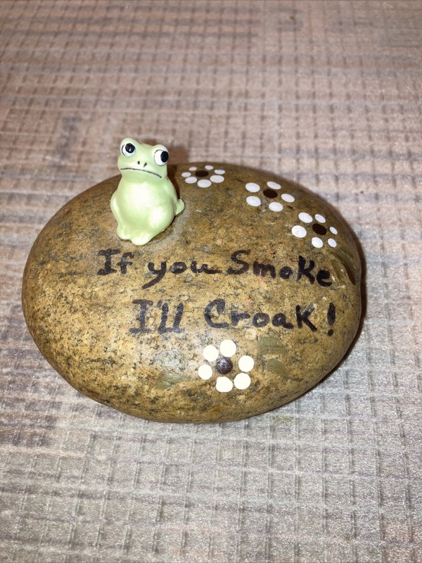 Please Don't Smoke No Smoking I Might Croak  Frog On Handpainted Rock Art Unique