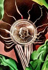 1 oz Fine Silver Round Elizabeth 11 TokelauEquilibrium