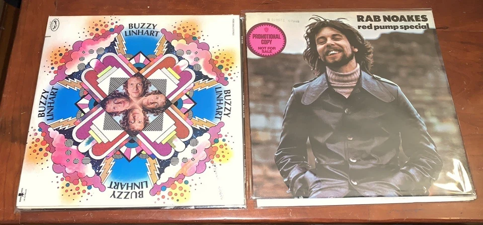 Huge Lot (18) Rare Psychedelic Folk Loner Country Rock Hi-Grade Collection EX/EX Foto 3 de 4