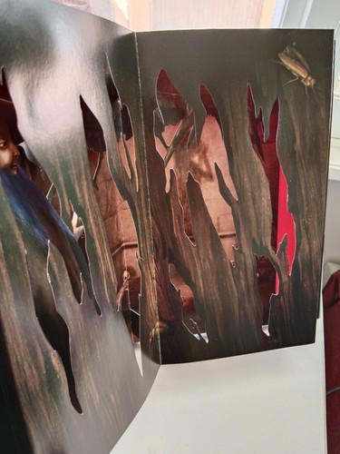 C'era Una Volta Benjamin Lacombe Rizzoli PRIMA edizione 2010 pop up - Foto 9 di 13