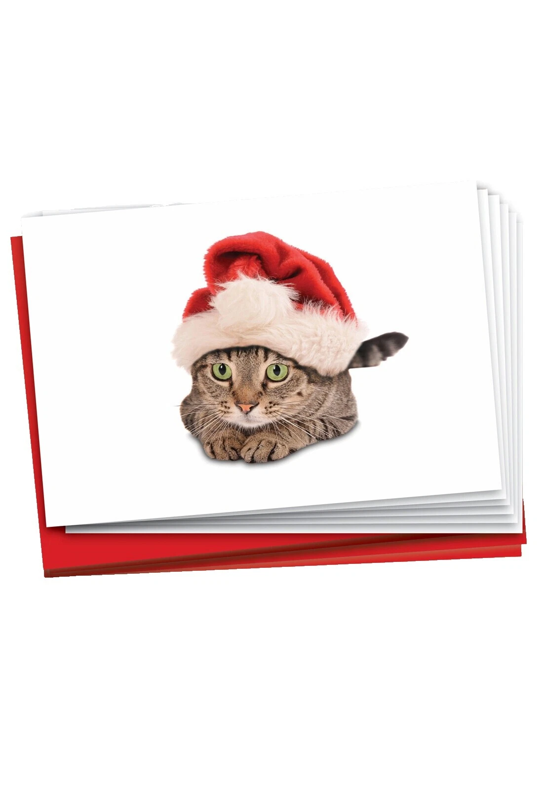 Christmas Animals Greeting Greeting Cards