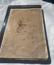 Blenko Dalle de Verre - 5539 - Clear with slight brown, amber Tint