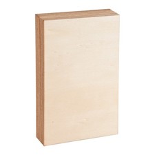 15 Pack Unfinished Wood Sheets,Wood Thin Wood Board for House Aircraft Ship6101