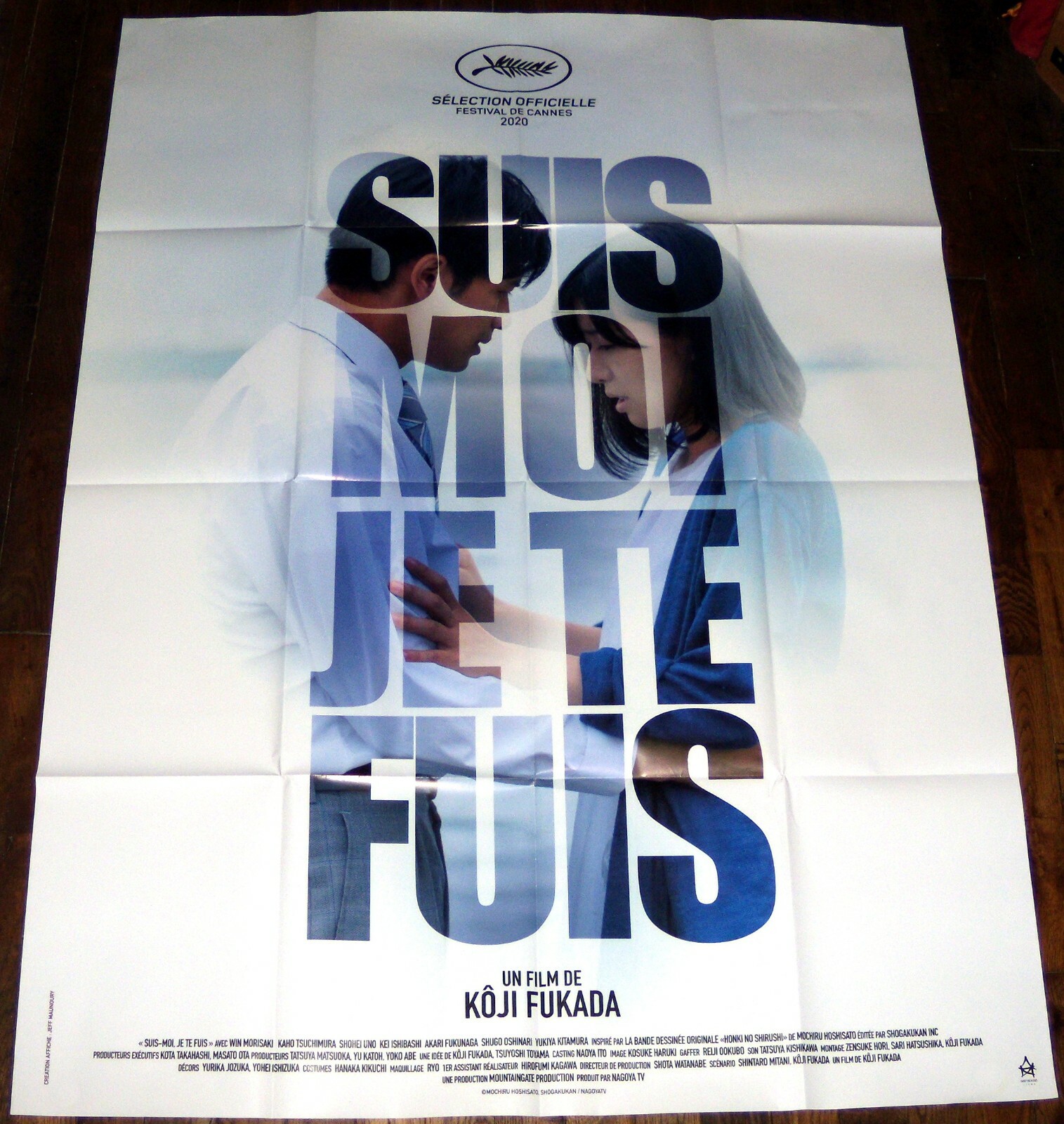 The Real Thing 本気のしるし 劇場版 Japan Koji Fukada Win Morisaki Large French Poster Ebay