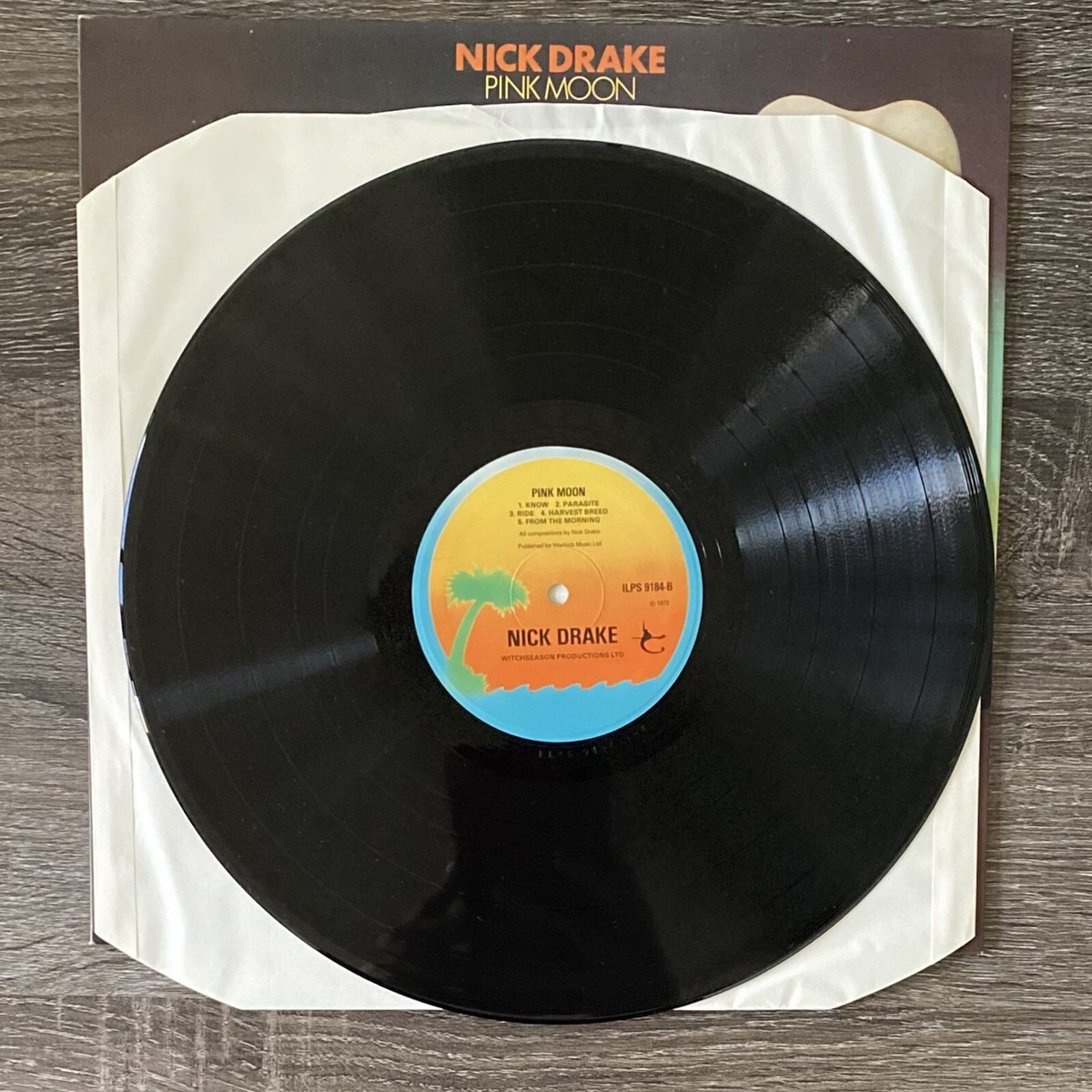 Nick Drake~”Pink Moon