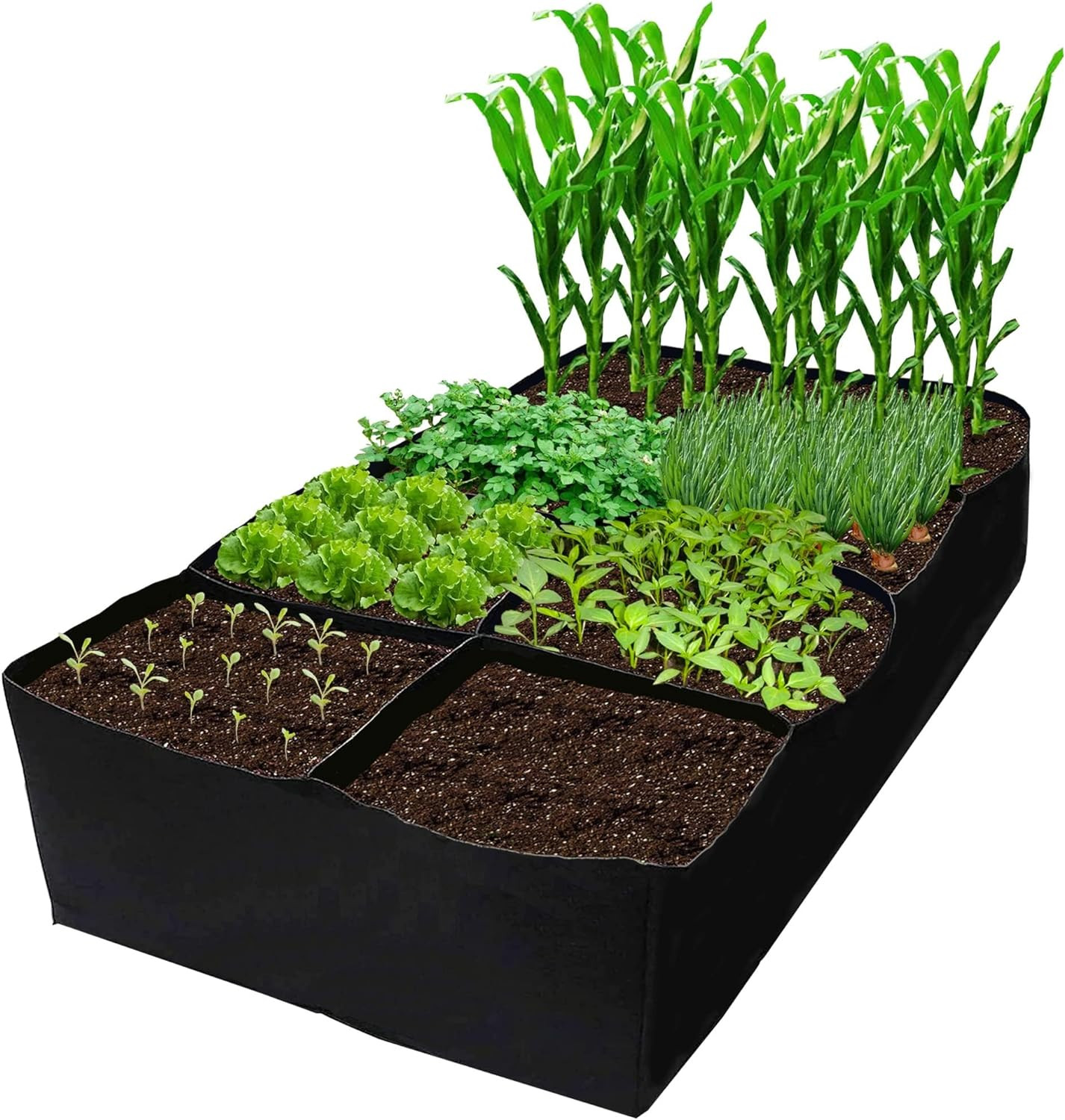 CJGQ Fabric Raised Garden Bed 6X3X1Ft Garden Grow Bed Bags for Growing Herbs, Fl