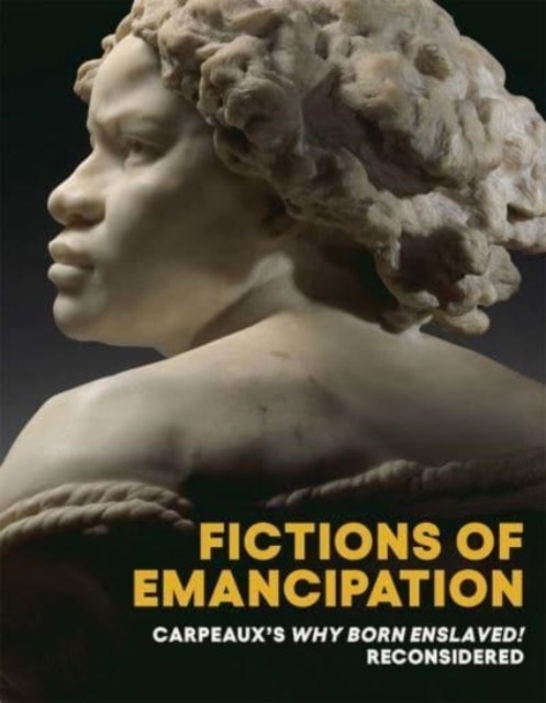 Fictions of Emancipation by Elyse Nelson, Wendy S. Walters - - Image 4