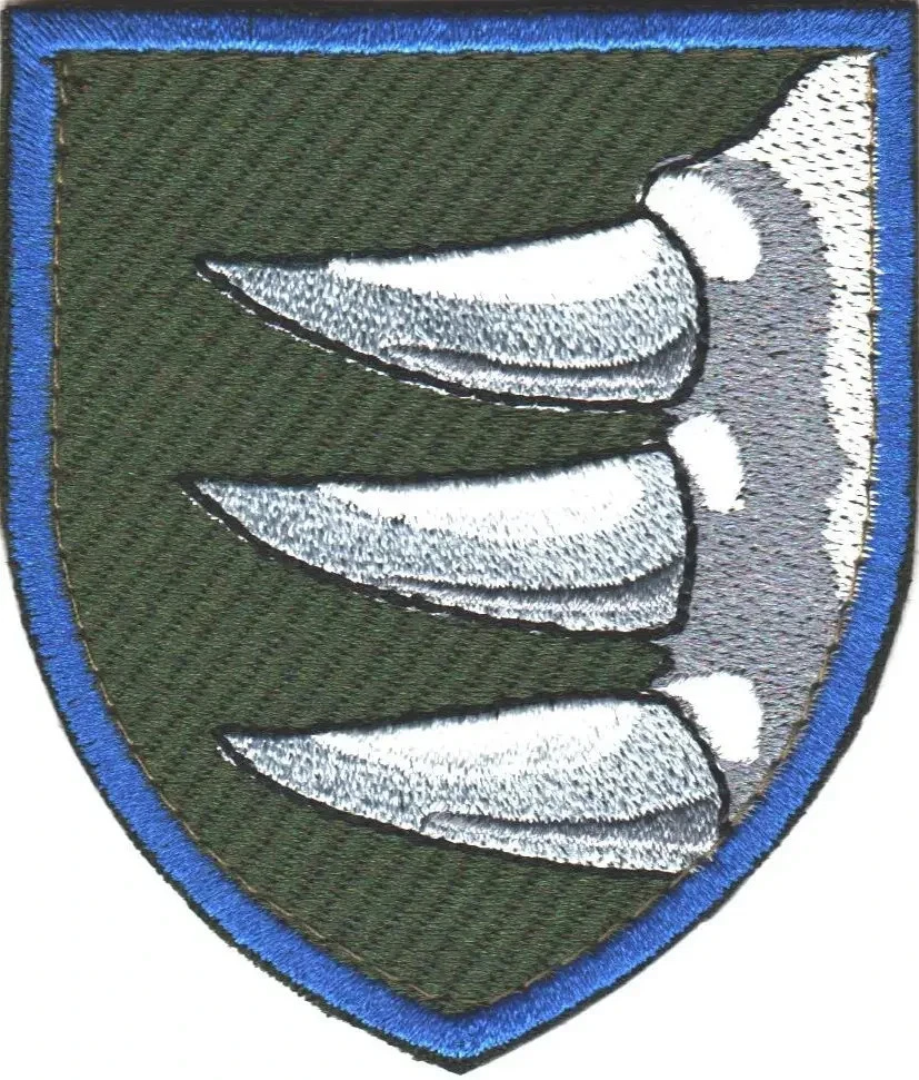 Patches of Various Ukrainian Army Units (Chevrons) 2014-2026