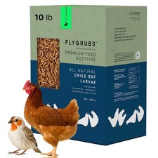 10 lb Dried Black Soldier Fly Larvae - High Calcium Chicken Feeder - 85X More...