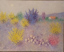 Antonio Pasciuti - Quadro Olio Su tela 50 X 40