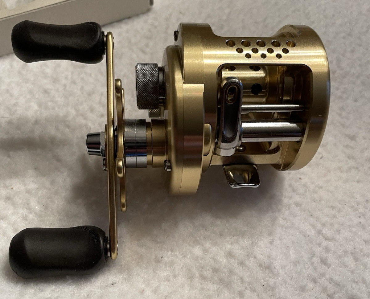Shimano Calcutta TE 200GT Saltwater Reel. MINT CONDITION! | eBay