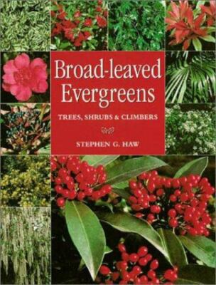 BROAD-LEAVED EVERGREENS: TREES, SHRUBS & CLIMBERS By Stephen Haw Mint Condition