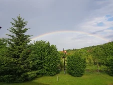 Picture Photo Image Wallpaper Background Beautiful Art # 412