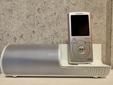 Sony Walkman NW-E052 MP3 Player Silver Used Japan Genuine