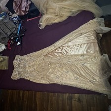 Champagne Gold Embellished Formal Gown with Beaded Details  Matching Headpiece