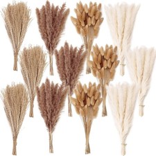 Dried Flower Bouquet - Pampas Grass for Home, Wedding Flower Decoration
