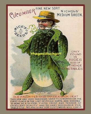 8x10 Vtg 1887 Creepy Vegetables NICHOL'S CUCUMBER Rice's seed ad Art Print