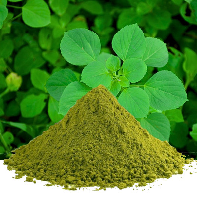 Acalypha | Kuppaimeni Leaf Powder | 100% Pure Organic Herbal Remedy | Skincare