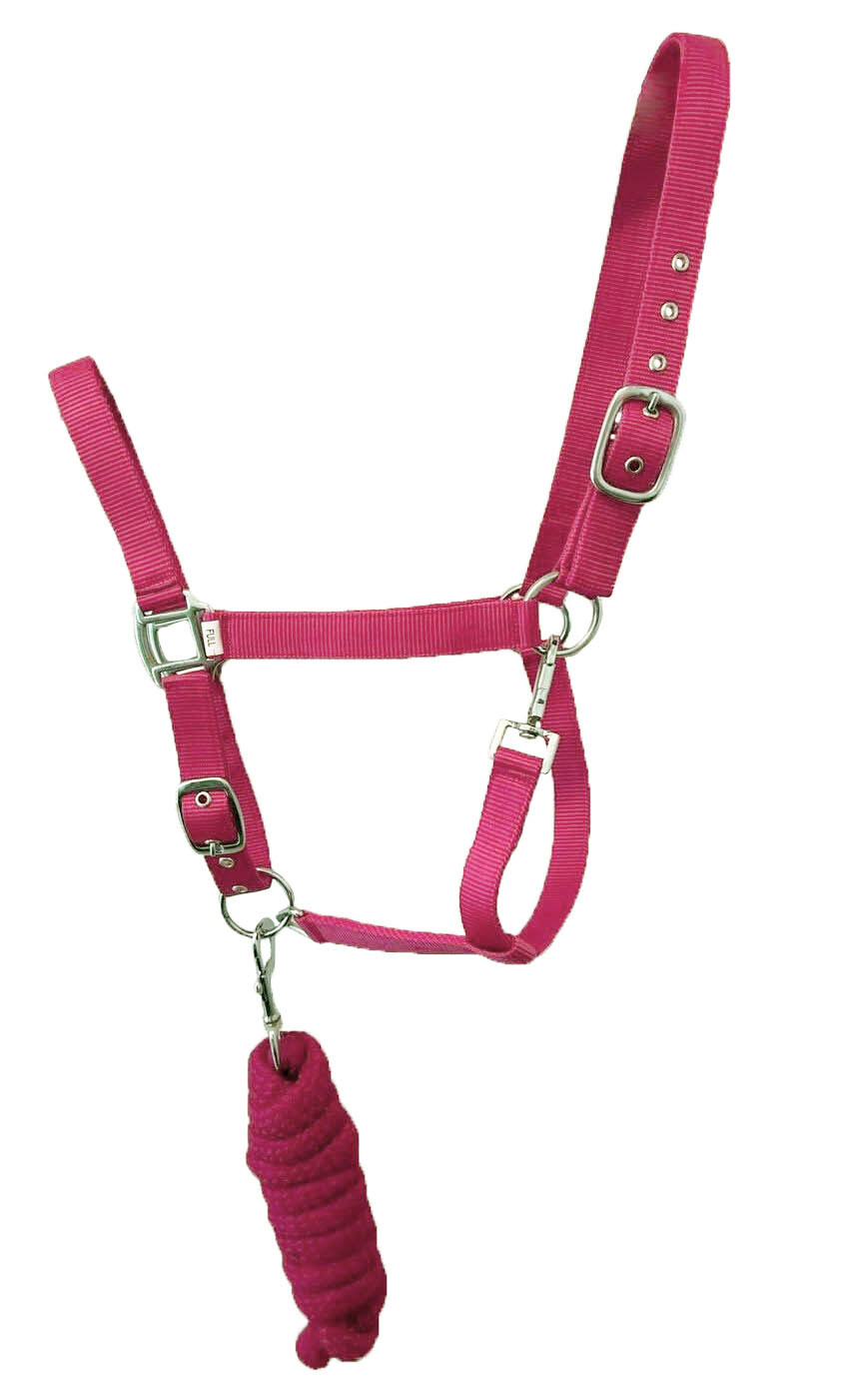 Equitem Full Horse Size 2 Ply Nylon Halter with 7ft Braided Soft Lead ...