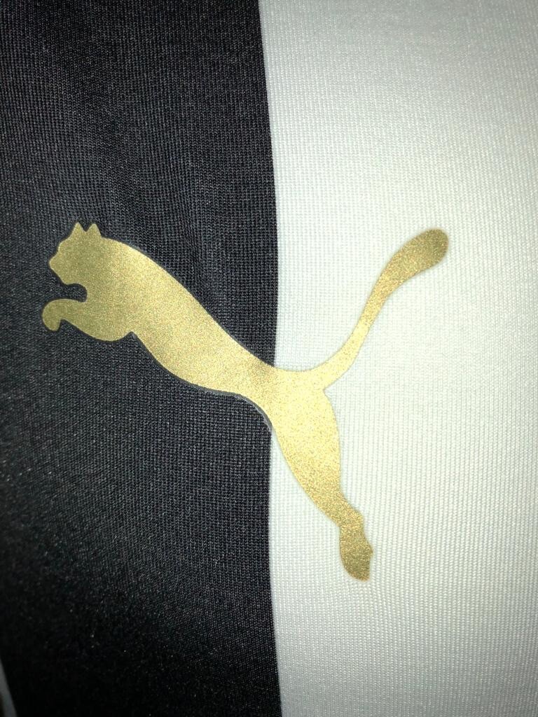 Picture 7 of 7