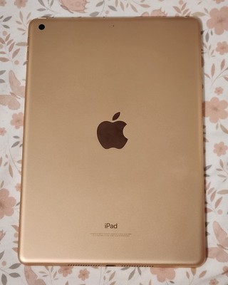 Apple iPad (6th Generation) A1893 32 GB 9.7 in Rose Gold