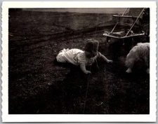 Vintage Snapshot Cute Baby Crawling With Dog 1950s
