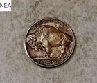 1913 TY2 Buffalo Nickel ~ Uncirculated Toned ~ Type 2 ~ ZB429